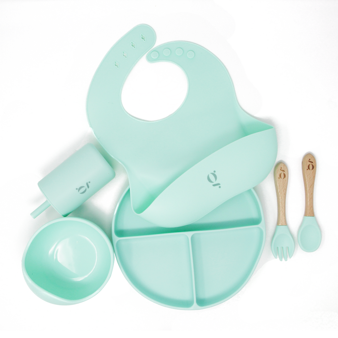 Baby / Toddler Silicone 6 Piece Dinnerware Set - Green Walnut Inc.